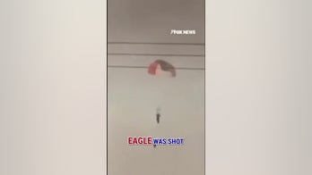 JUST IN: Video shows pilot ejecting after US jets shot down over Kuwait