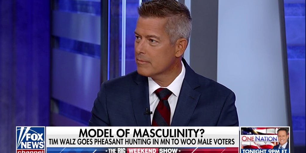 Men don't vote for you when you 'demonize' them: Sean Duffy