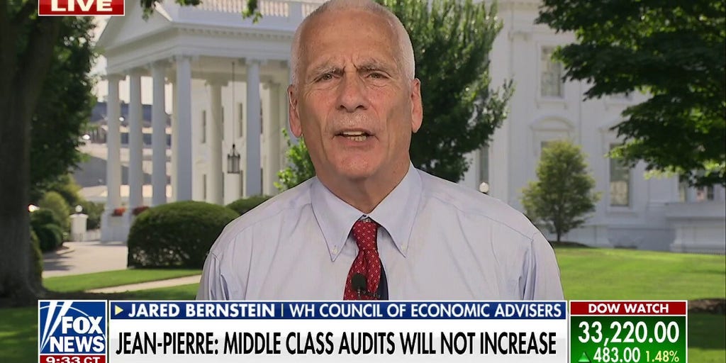 White House economic adviser admits IRS hires will target tax evasion, not ‘avoidance’ Fox