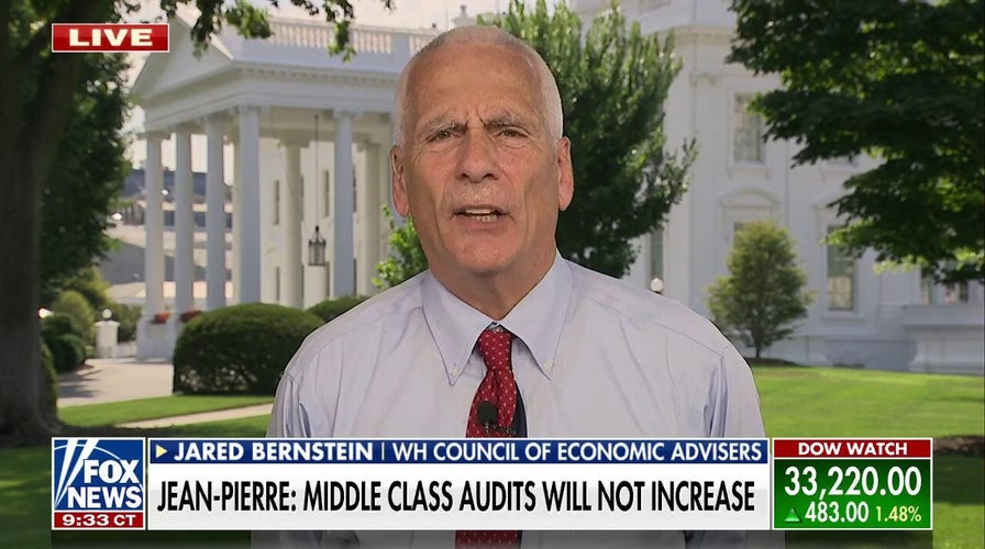 White House economic adviser admits IRS hires will target tax evasion, not ‘avoidance’