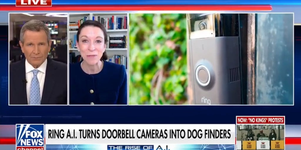AI technology helps reunite lost pets with owners using Ring doorbell cameras