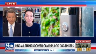 AI technology helps reunite lost pets with owners using Ring doorbell cameras
