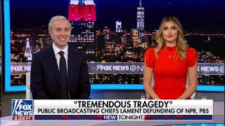 Democrats want Epstein to be 'the conversation,' says Link Lauren