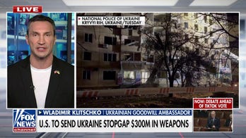 Former Ukrainian boxer Wladimir Klitschko: A stronger Ukraine means a stronger Europe