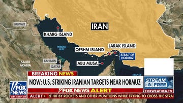 Trump warns Iran will be 'totally wiped out' if it responds to US strikes