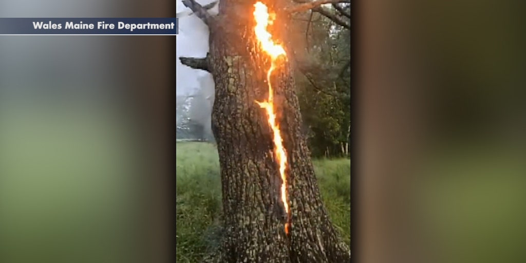 Lightning Strikes Tree In Maine Fox News Video 