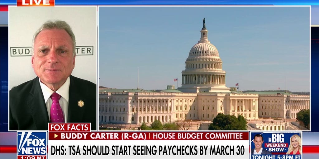 Democrats 'playing politics' with Americans' safety: GOP lawmaker