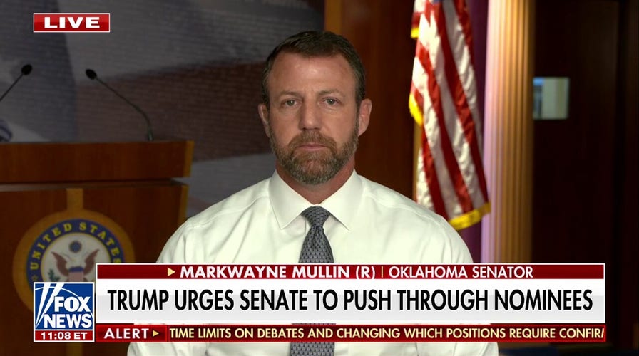 GOP senator warns Dems delaying Trump nominees 'we can do this the easy way or hard way'