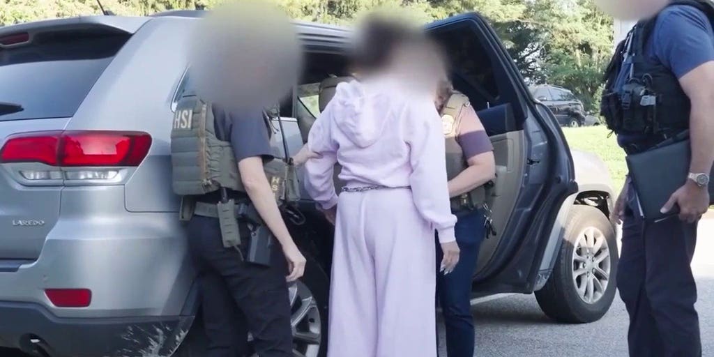 EXCLUSIVE VIDEO: Watch federal agents bust illegal alien charged with voter fraud