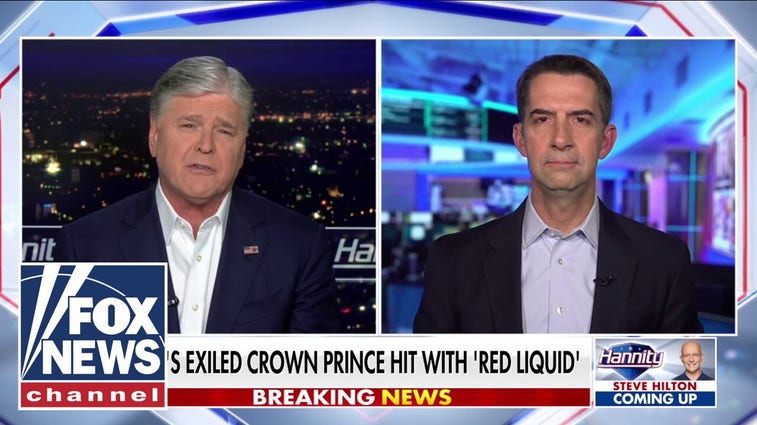 Sen Tom Cotton: This is the 'typical Iranian playbook'