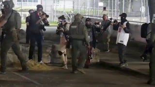 Federal agents arrest 2 anti-ICE agitators in chaotic confrontation
