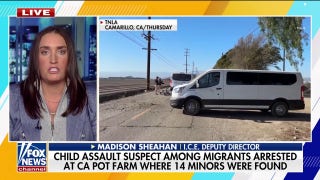 ICE deputy director fires back against 'rogue' judges amid illegal immigration crackdown