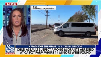 ICE deputy director fires back against 'rogue' judges amid illegal immigration crackdown