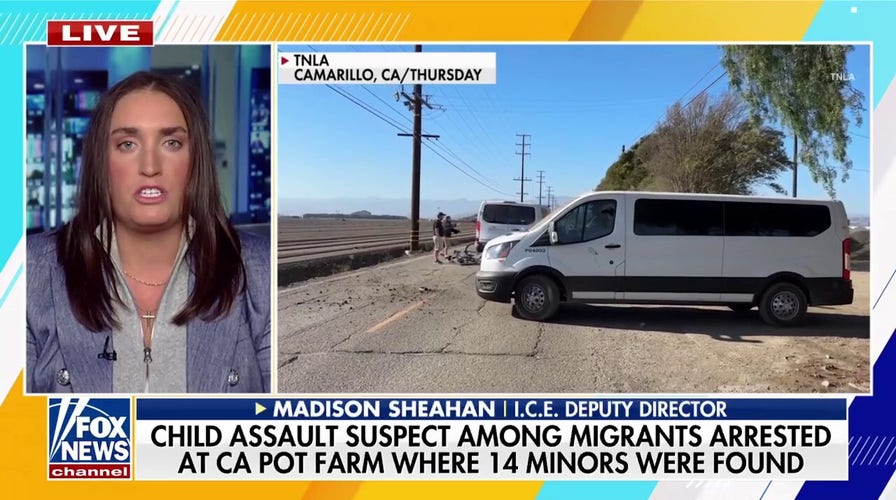 ICE deputy director fires back against 'rogue' judges amid illegal immigration crackdown