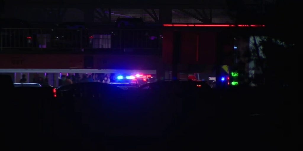 Police escort shoppers out of California mall after Black Friday shooting