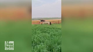 Lone horse in South Dakota spotted galloping at a fast pace - Fox News