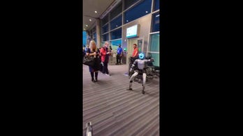 Dancing robot steals show at airport gate, briefly delays departing flight