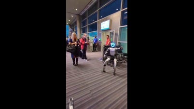 Dancing robot steals show at airport gate, briefly delays departing flight