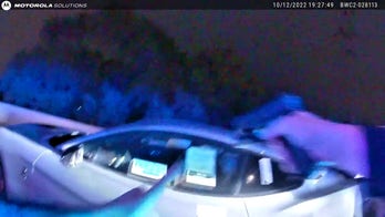 Michigan teen jumps off bridge after allegedly stealing Mustang and running out of gas during police chase