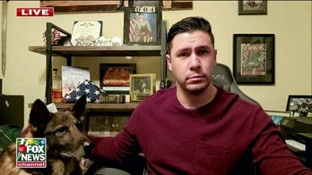 Service member reunites with military dog partner: 'It's been a blessing'