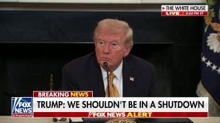 Trump on government shutdown: Democrats have gone 'totally crazy'