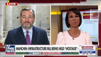 Ted Cruz: Virginia will be 'canary in coal mine' again before GOP 'revolution' in midterms