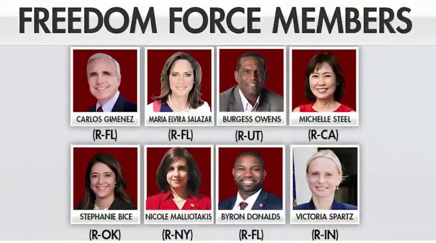 GOP 'Freedom Force' aims to counter Dems' 'Squad,' socialism in US