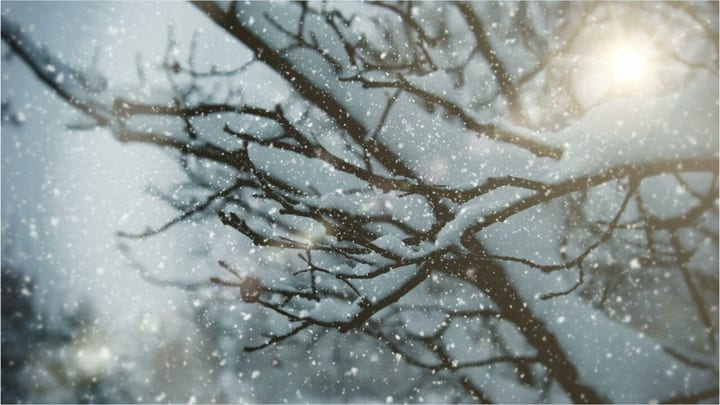 America's top 5 snowiest cities