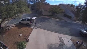 14-foot Halloween skeleton stolen from Austin neighborhood