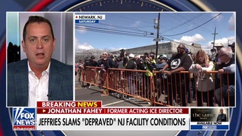 Former ICE official slams 'cynical' tactics of rioters amid violent clashes