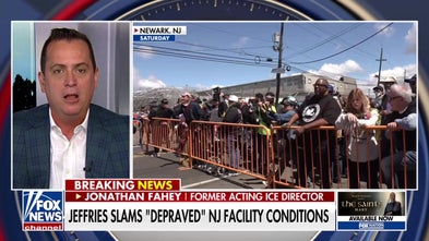 Former ICE official slams 'cynical' tactics of rioters amid violent clashes