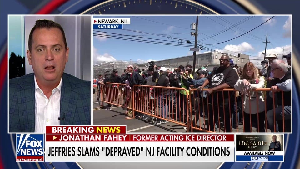 Former ICE official slams 'cynical' tactics of rioters amid violent clashes