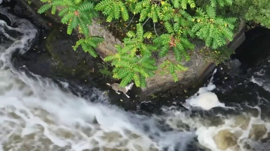 Massachusetts first responders rescue Maggie the dog from waterfall