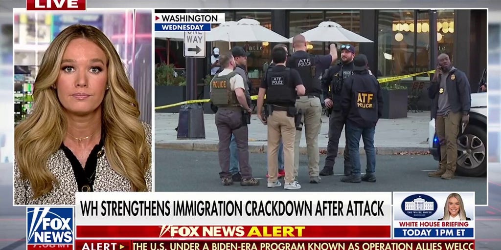 Tricia McLaughlin slams Biden-era program after Afghan national arrested in Texas