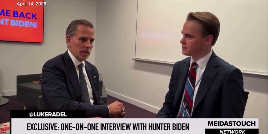 Hunter Biden admonishes Democratic leadership in Congress, calls Newsom greatest 'warrior'