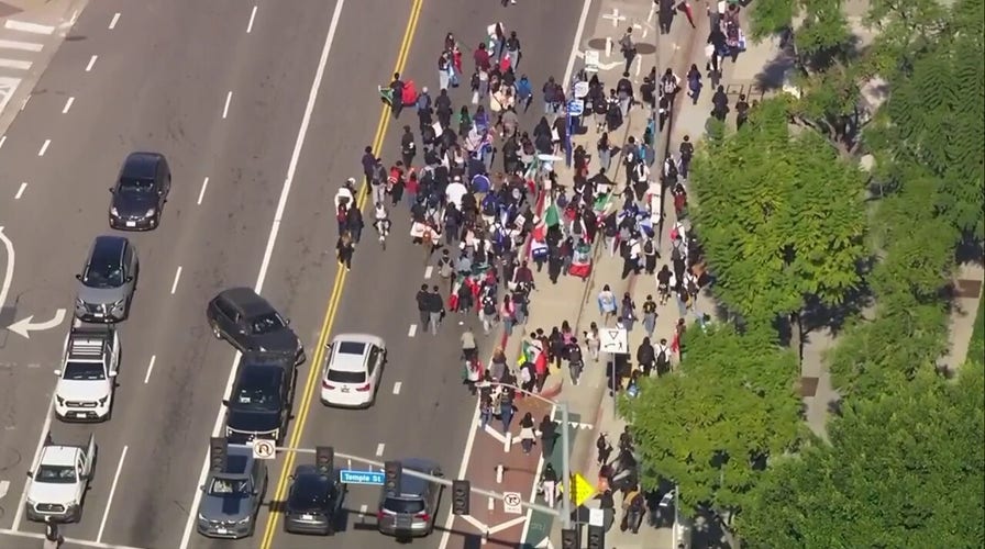 Anti-ICE protesters 'fight' with national agents successful downtown Los Angeles