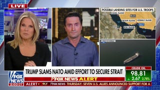 Trump tacha a la OTAN de «débil» en medio de los esfuerzos por asegurar el estrecho de Ormuz