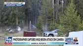 Photographer who captured Yellowstone bison attack video shares firsthand account