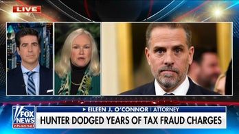 'My jaw dropped' when I read IRS whistleblower's claims about Hunter Biden probe, says former DOJ tax official
