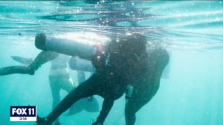 3 women in mermaid tails rescue scuba diver in California - Fox News