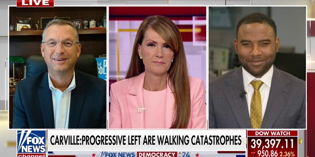 James Carville offers scathing criticism of progressive left: 'Walking catastrophes'