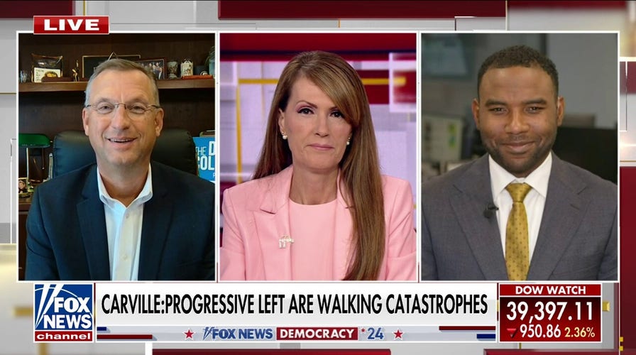 James Carville offers scathing criticism of progressive left: 'Walking catastrophes'