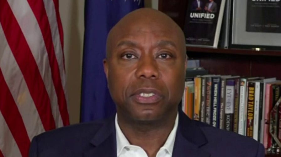 Sen. Tim Scott reveals why he is 'uniquely qualified' to push back on the radical left