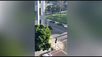 California police arrest suspect involved in hit-and-run that killed 100-year-old man