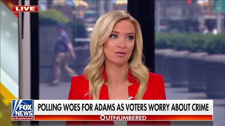 Kayleigh McEnany: 'This is a really bad look' 