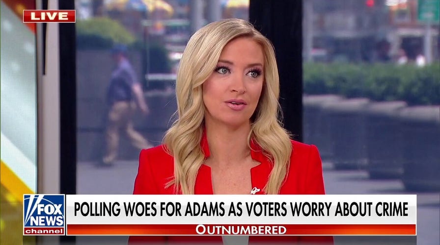 Kayleigh McEnany: 'This is a really bad look'