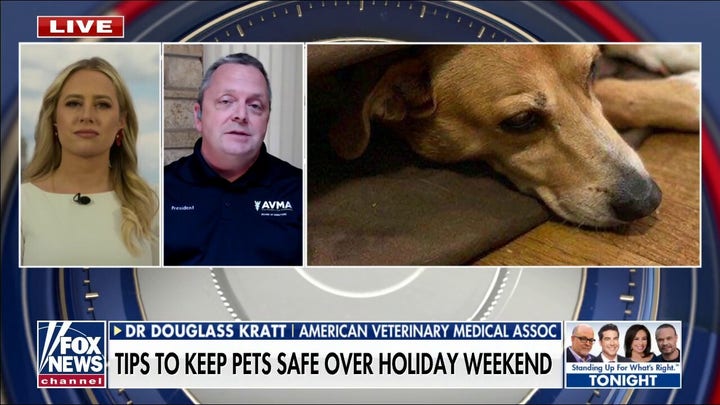 Tips to keep pets safe on July 4th 