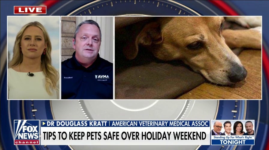 Tips to keep pets safe on July 4th 