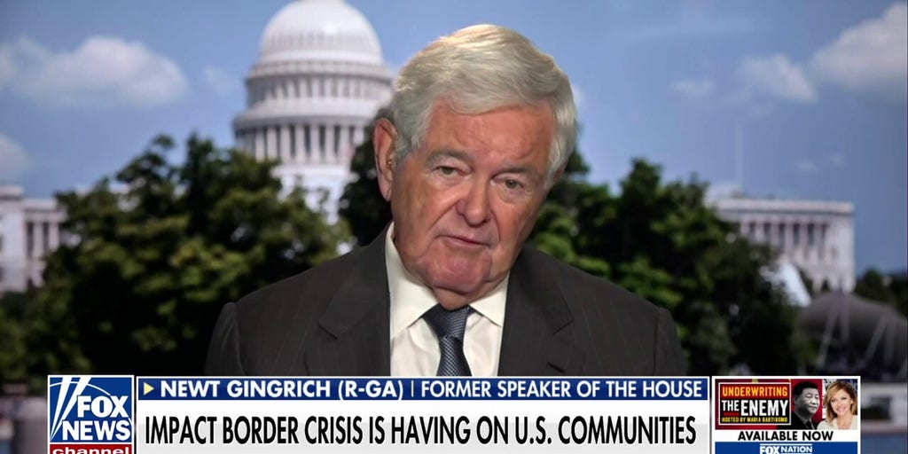There is a legitimate concern over illegal immigrants voting: Newt Gingrich