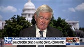 There is a legitimate concern over illegal immigrants voting: Newt Gingrich